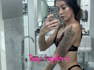 Tiny_taylorr