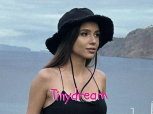 Tinydream