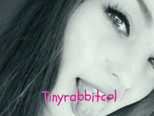 Tinyrabbitcol