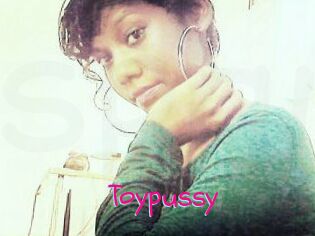 Toypussy