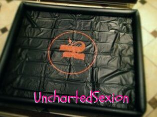 UnchartedSexion