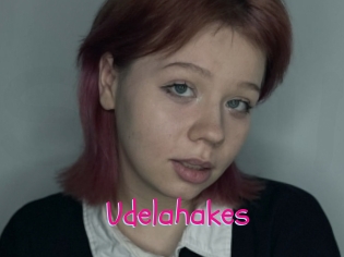 Udelahakes