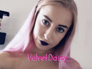VelvetDaisy