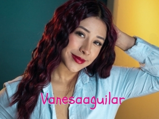 Vanesaaguilar