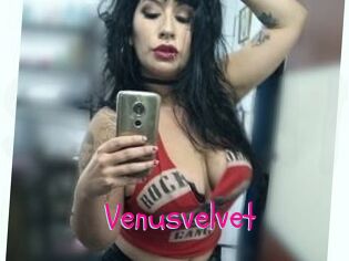 Venusvelvet