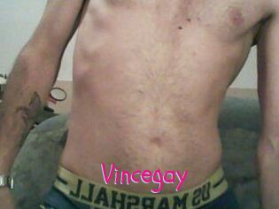 Vincegay
