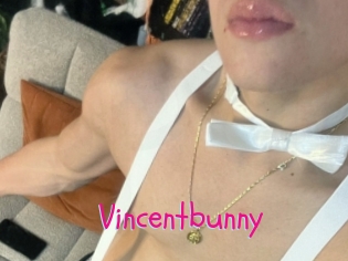 Vincentbunny