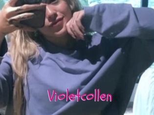 Violetcollen
