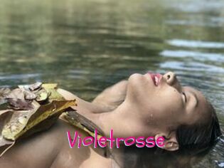 Violetrosse