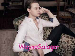 WayneGalager