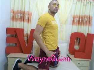 WayneQuinn