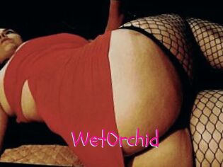 WetOrchid
