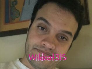 Wildcat315