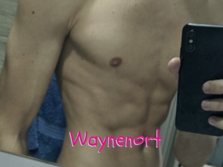 Waynenort