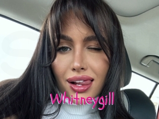 Whitneygill