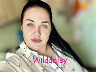 Wilddaisy