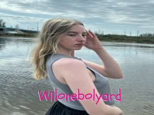 Wilonebolyard