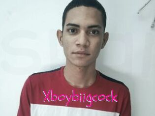 Xboybiigcock