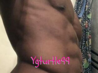 Ygturtle99
