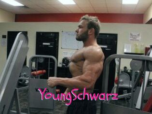 YoungSchwarz