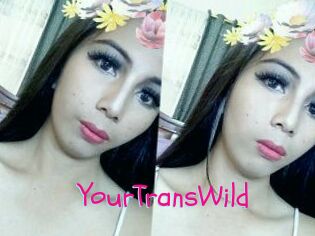 YourTransWild