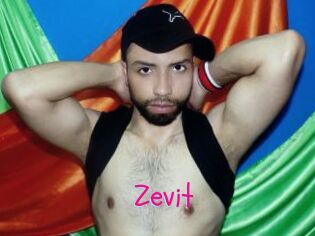 Zevit
