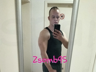 Zsomb95